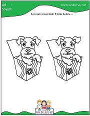 okul öncesi İki Resim Arasındaki Farkı Bul